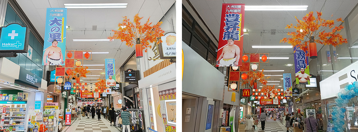 大相撲九州場所